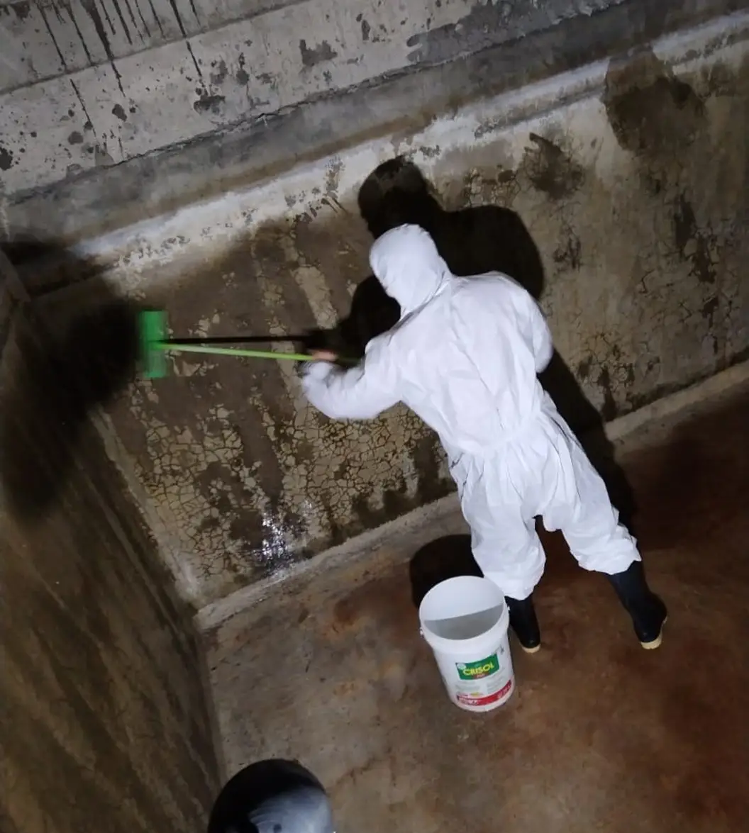 Limpieza y desinfección de tanques y cisternas 12